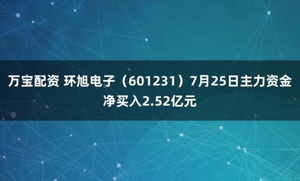 万宝配资 环旭电子（601231）7月25日主力资金净买入2.52亿元