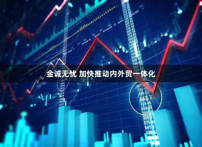 金诚无忧 加快推动内外贸一体化