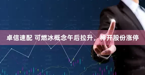 卓信速配 可燃冰概念午后拉升，神开股份涨停